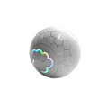 NNETM Interactive Dog Toy Ball - Grey Striped-0